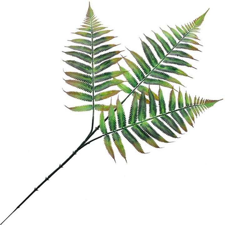 LIŚĆ PAPROCI 60CM