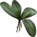 1 - Kopia.JPG