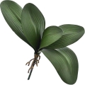 3 - Kopia.JPG