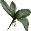 4 - Kopia.JPG