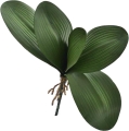 5 - Kopia.JPG