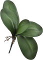 7 - Kopia.JPG
