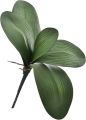 8 - Kopia.JPG