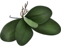 10 - Kopia.JPG