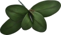 14 - Kopia.JPG
