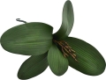 15 - Kopia.JPG