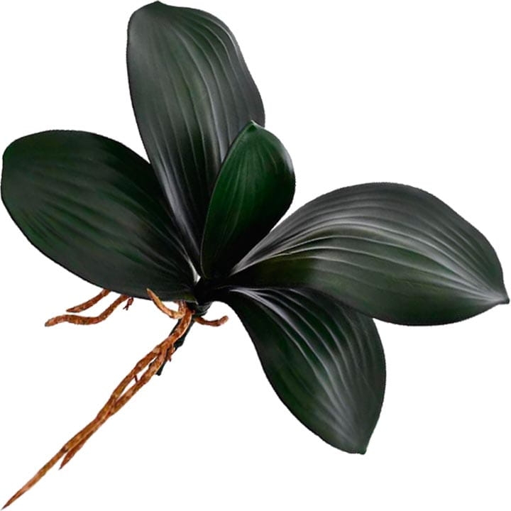 LIŚĆ ŁODYGA STORCZYKA CIEMNOZIELONA 27 CM
