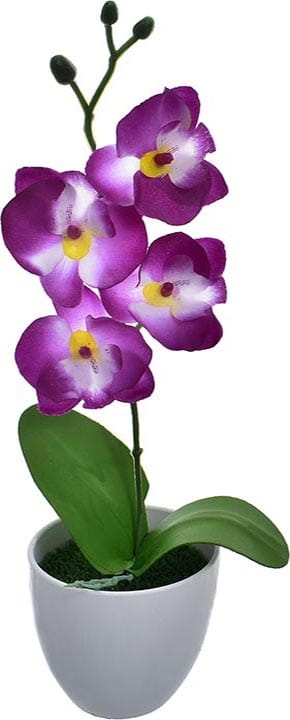 KOMPOZYCJA KWIATOWA STORCZYK 35 CM