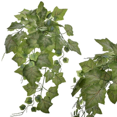 A_DSC2690 - Kopia.JPG