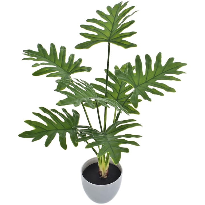 FILODENDRON SZTUCZNY W DONICZCE 50 CM