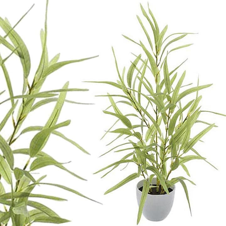 BAMBUS W DONICZCE KOMPOZYCJA 60 cm (wierzba)