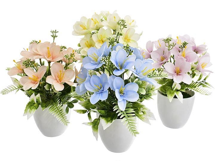 FREZJA W DONICZCE KOMPOZYCJA KWIATOWA 25 CM