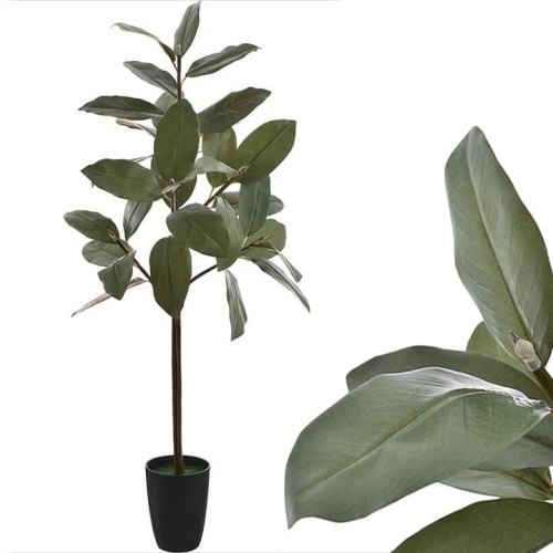 _DSC2386 - Kopia.JPG