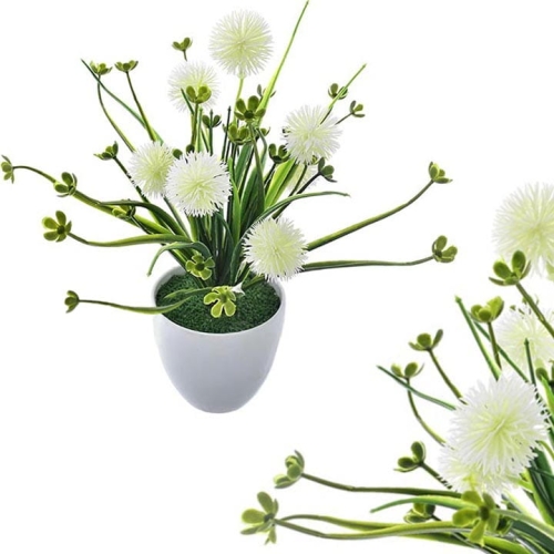 _DSC6209a - Kopia.JPG