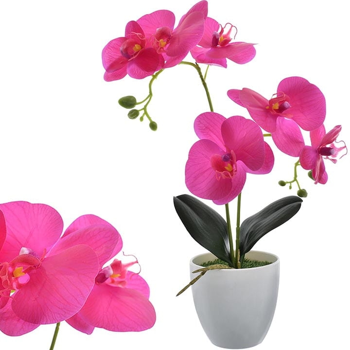 STORCZYK W DONICZCE 2 PĘDY 35 CM