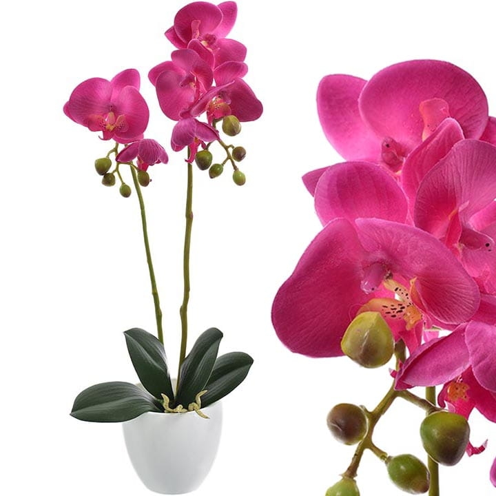 KOMPOZYCJA STORCZYK X2 W DONICZCE 45CM