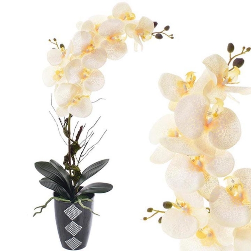 _DSC0089 - Kopia - Kopia.JPG