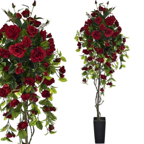 _DSC4485 - Kopia (2).JPG