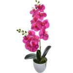 KOMPOZYCJA KWIATOWA STORCZYK X2 45 CM