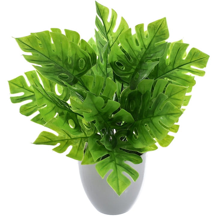 KOMPOZYCJA KWIATOWA MONSTERA 30 CM