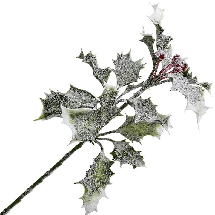 OSTROKRZEW GAŁĄZKA OŚNIEŻONA 19CM