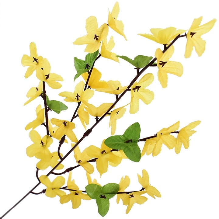 GAŁĄZKA FORSYCJI 50 CM