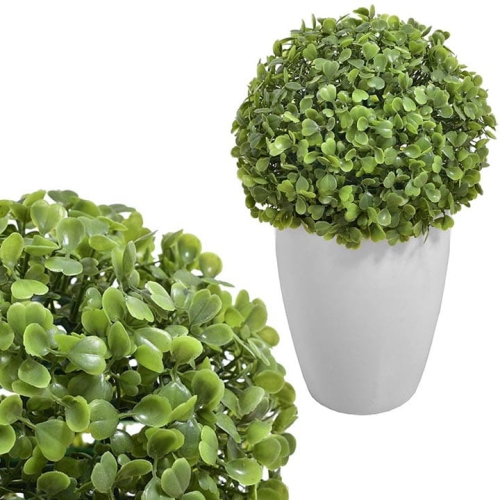 _DSC7662 - Kopia.JPG