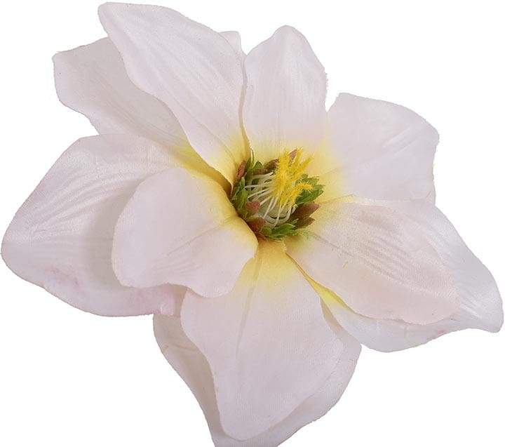 MAGNOLIA WYROBOWA GŁOWKA 17 CM