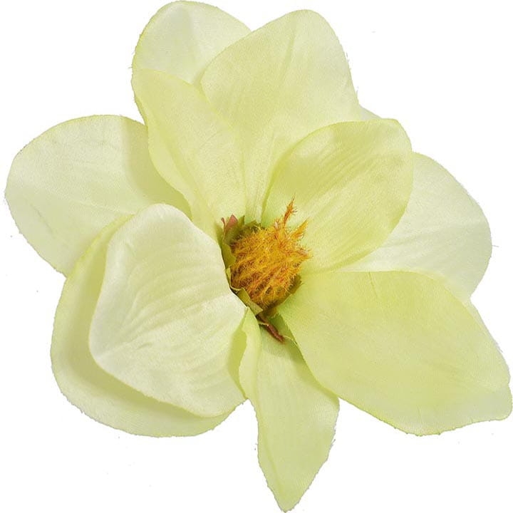 MAGNOLIA WYROBOWA GŁÓWKA 17 CM