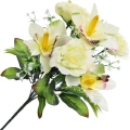 _DSC2492a - Kopia.JPG