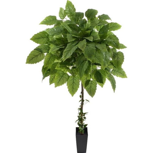 _DSC7841 - Kopia (2).JPG