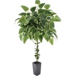 DRZEWKO Z LIŚCI  HORTENSJI 140 CM