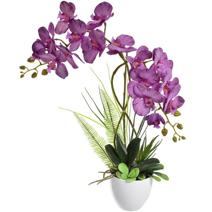 STORCZYK KOMPOZYCJA W DONICY 50 CM