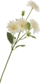 _DSC0838aaaaa.JPG