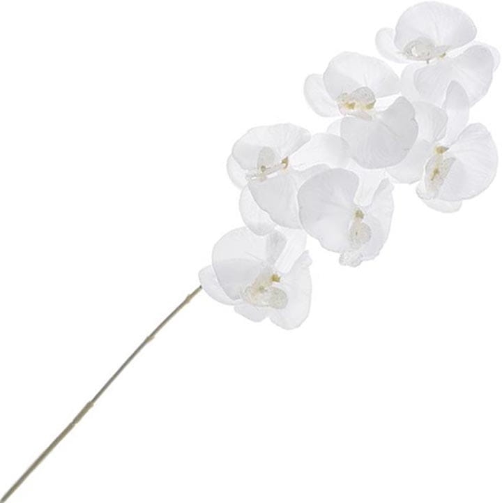 STORCZYK GAŁĄZKA 80 CM