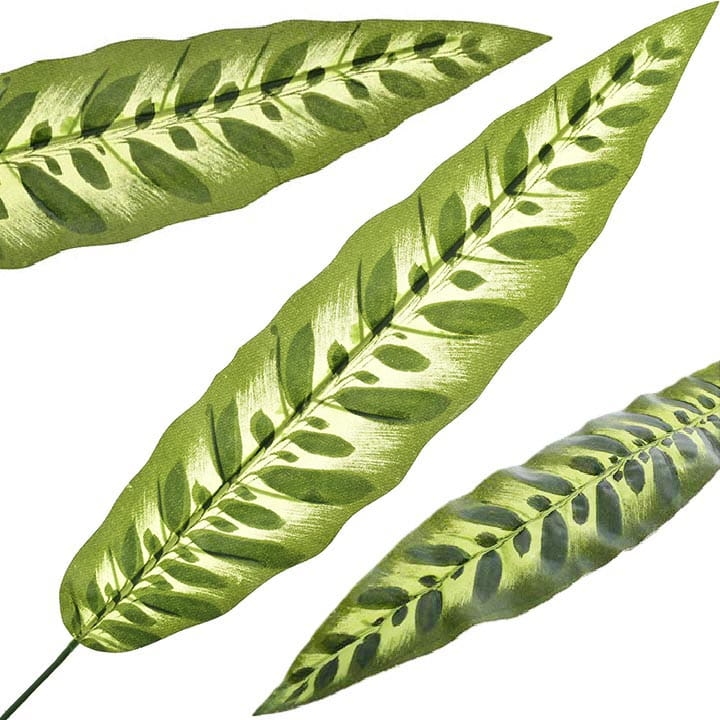 LIŚĆ PAWI 75 CM