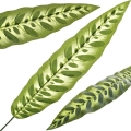 720X720 - Kopia.jpg