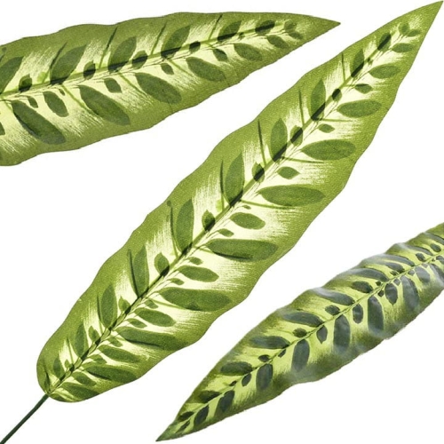 720X720 - Kopia.jpg