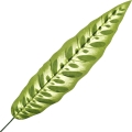 720X720.jpg