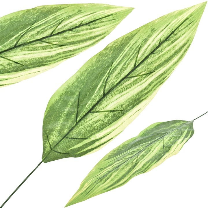 LIŚĆ HOSTY 70 CM