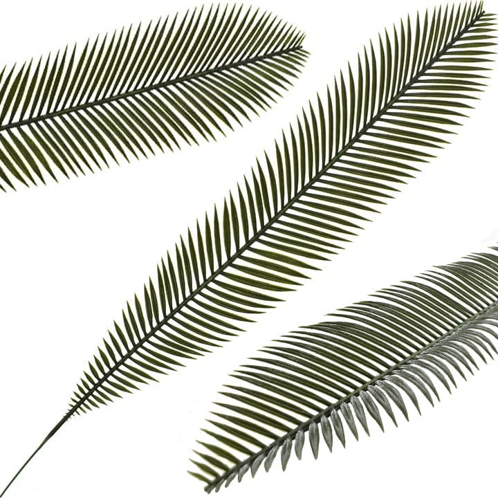 LIŚĆ PALMY NA PIKU 70 CM