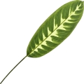 720x720.JPG