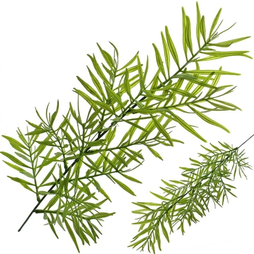 720x720.jpg