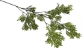 _DSC4261aa.JPG