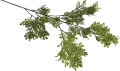 _DSC4263a.JPG