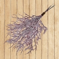 KWI8894.jpg