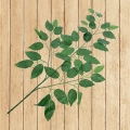 KWI0557-3029.jpg