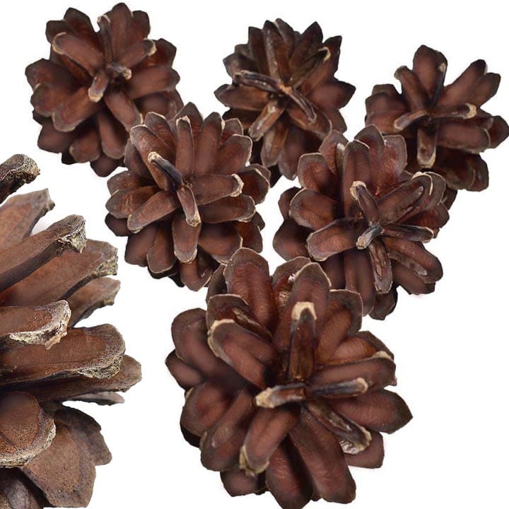 SZYSZKI SOSNOWE DEKORACYJNE OZDOBA