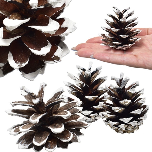 _DSC6929 - Kopia.JPG