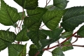 _DSC0768aaaaaa.JPG
